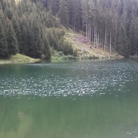 Apart Garni Wiesenhof Guest house